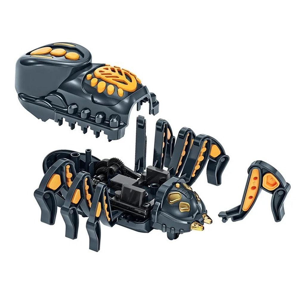 Clementoni Scienza & Gioco Spider Robot