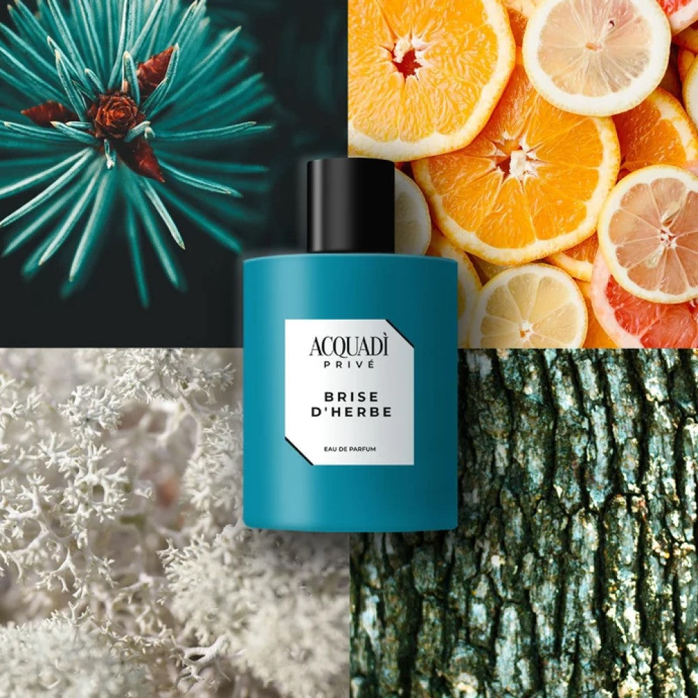 Acquadì Privé Brise D'herbe Eau De Parfum