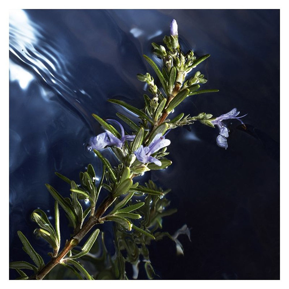 Davidoff Cool Water Reborn Eau De Toilette