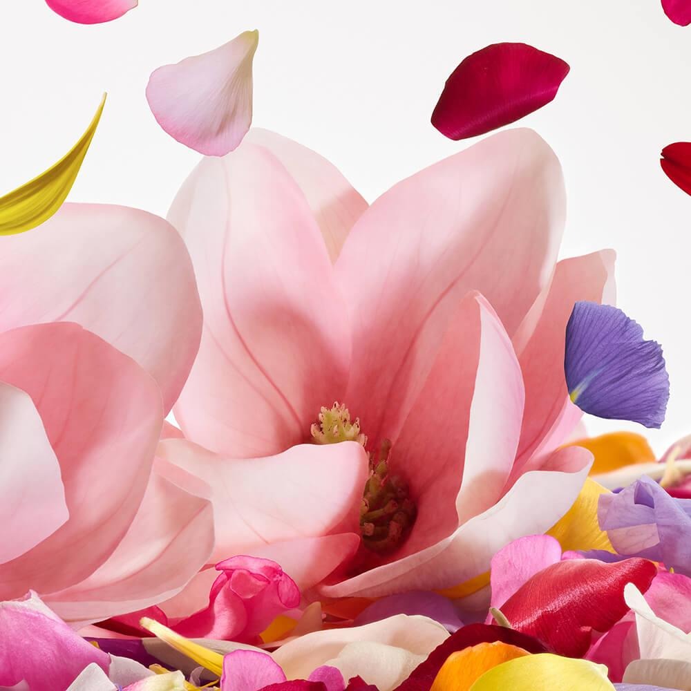 Dolce&Gabbana Dolce Magnolia Eau De Parfum