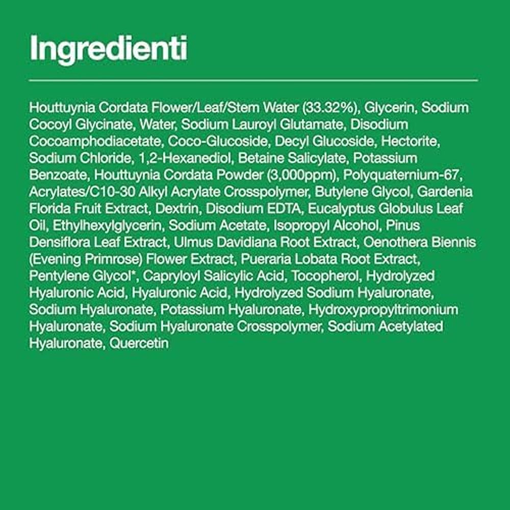 Anua Heartleaf Quercetinol Pore Deep Cleansing Foam