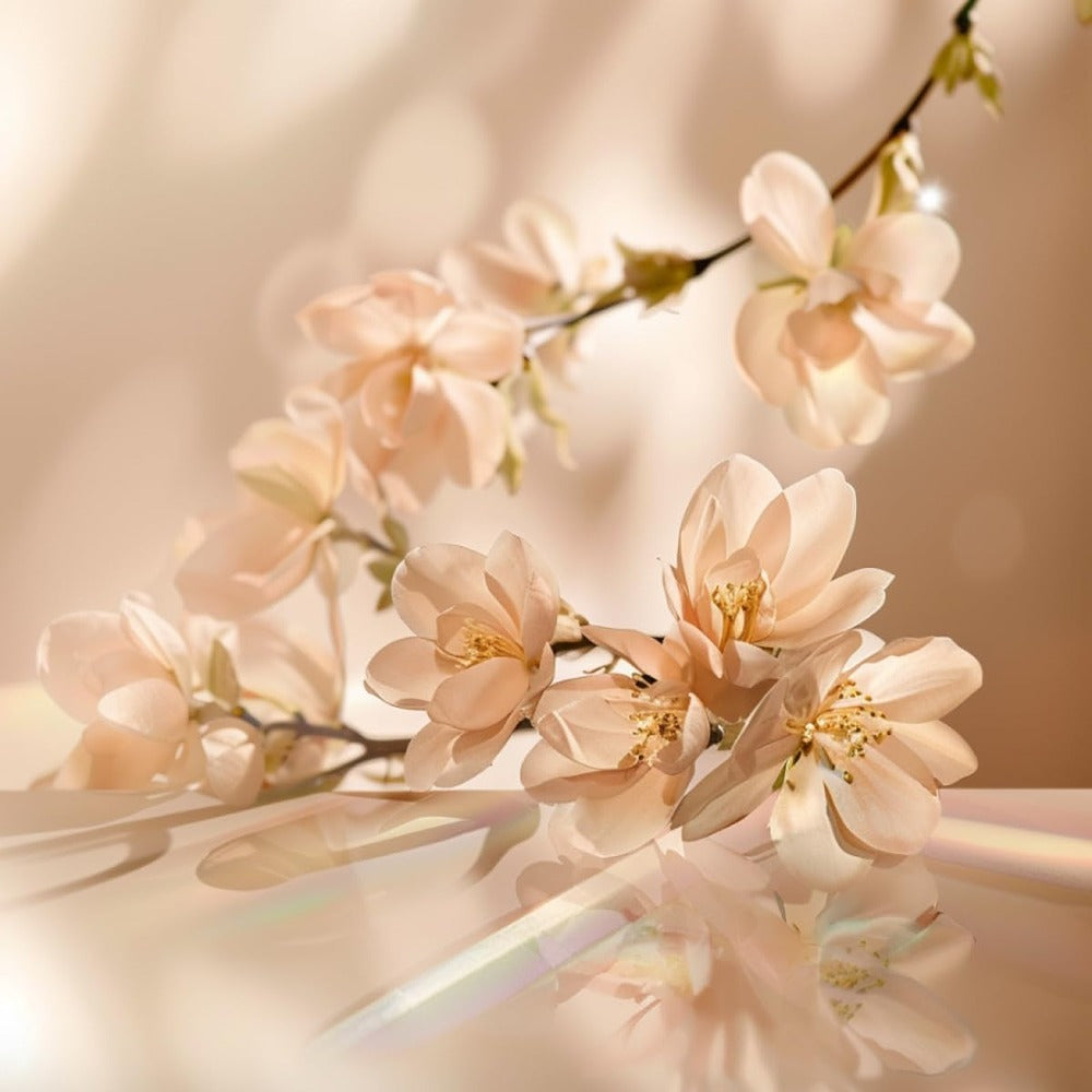Elie Saab Le Parfum Eau De Parfum