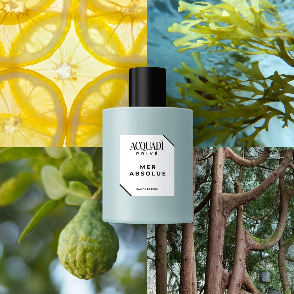 Acquadì Privé Mer Absolue Eau De Parfum