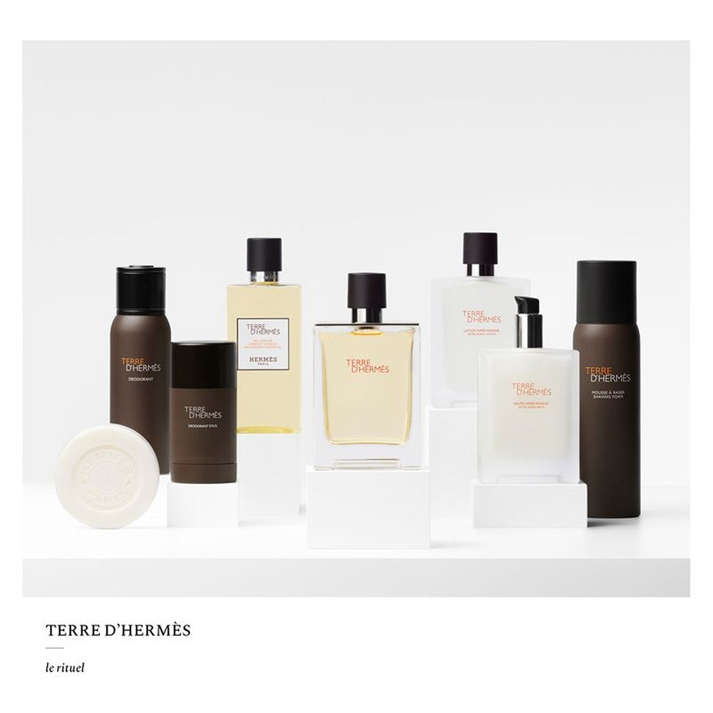 Hermès Terre D'hermes Deodorante Stick